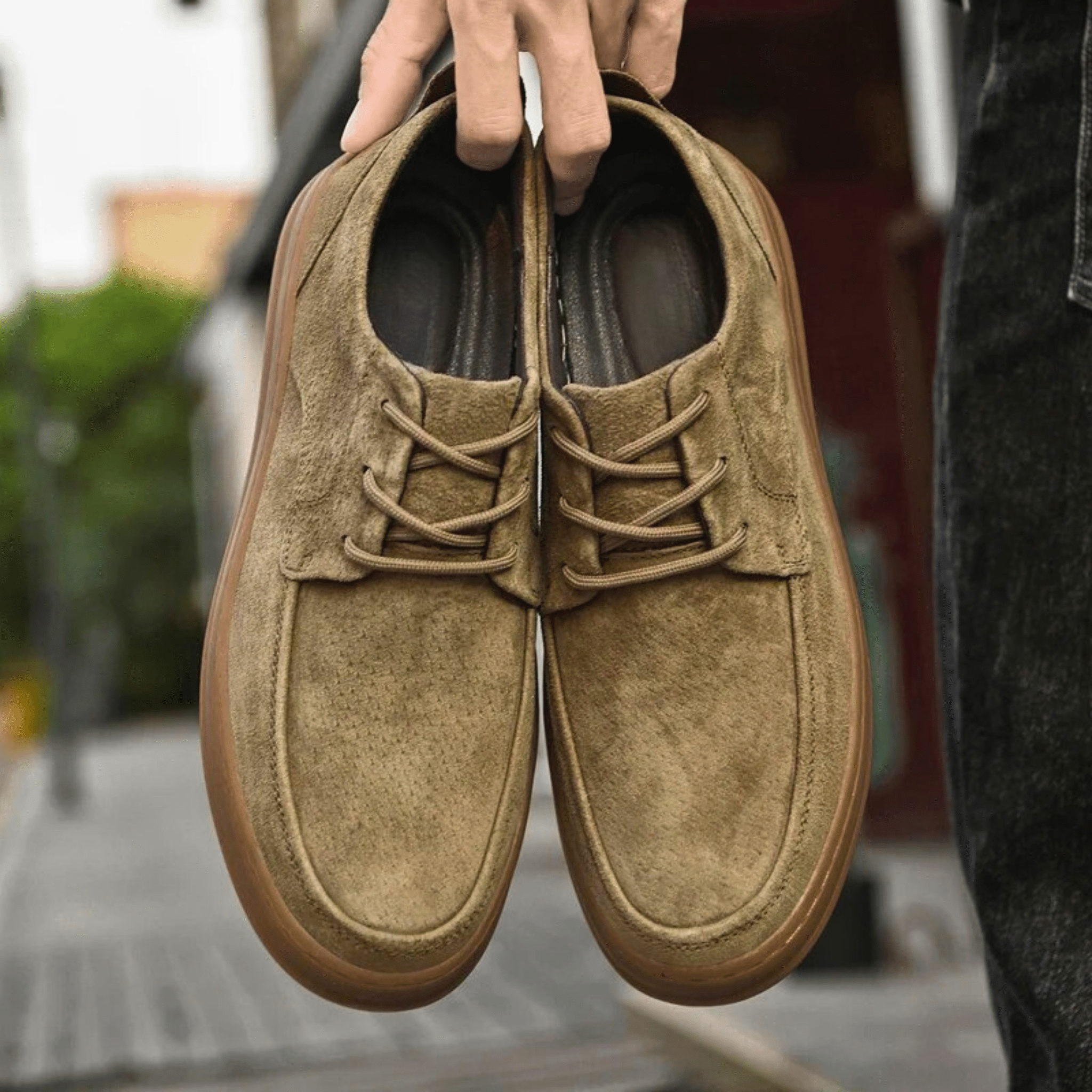 The Ariston Oxford